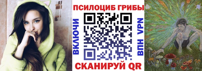 Псилоцибиновые грибы Magic Shrooms  купить   Одинцово 